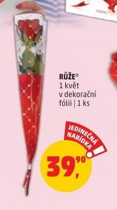 RŮŽE 1 květ v dekorační fólii