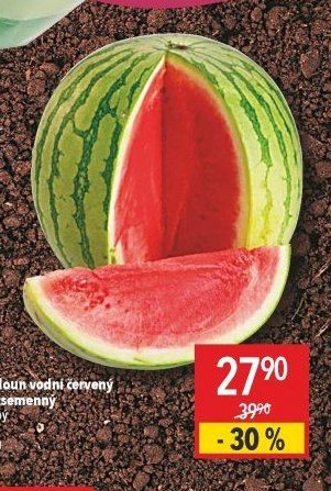 Meloun vodní červený bezsemenný volný