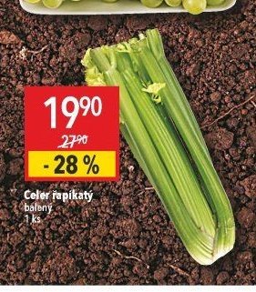 Celer řapíkatý balený