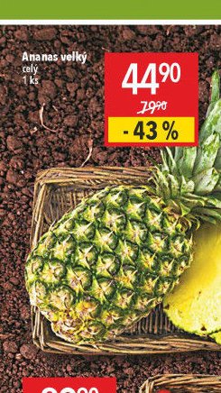 Ananas velký