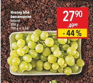 Hrozny bílé bezsemenné