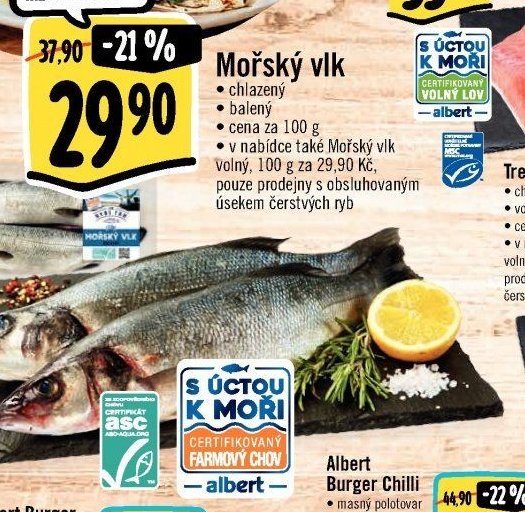 Mořský vlk
