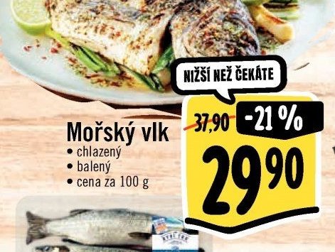 Mořský vlk