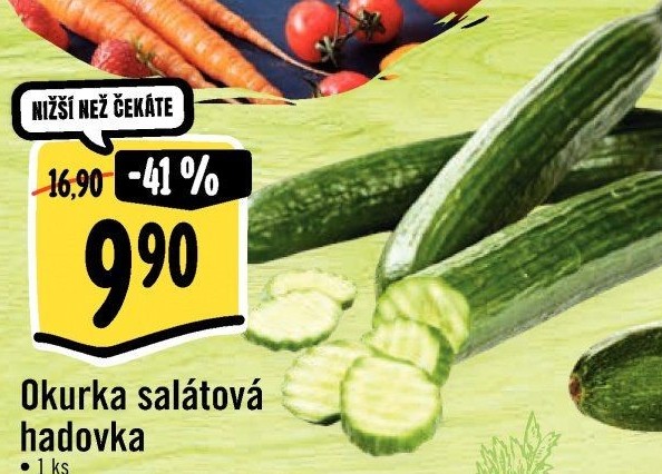 Okurka hadovka