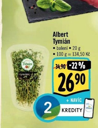 Tymián čerstvý Albert