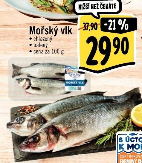 Vlk mořský Albert