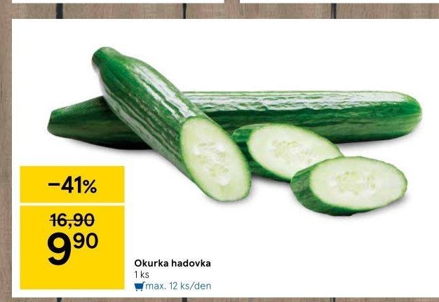 Okurka hadovka