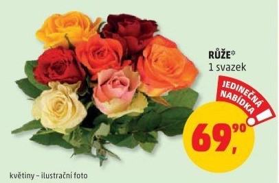 Řezané růže