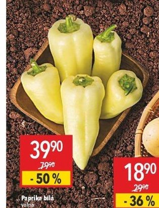 Paprika bílá