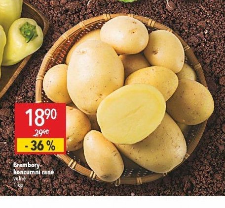 Brambory konzumní rané