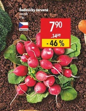 Ředkvičky červené