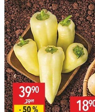 Paprika bílá