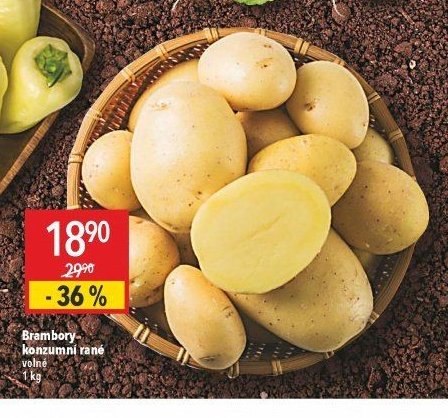 Brambory konzumní rané