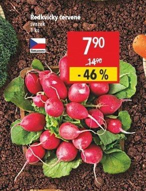 Ředkvičky červené
