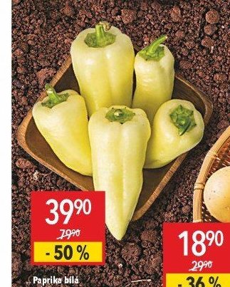 Paprika bílá