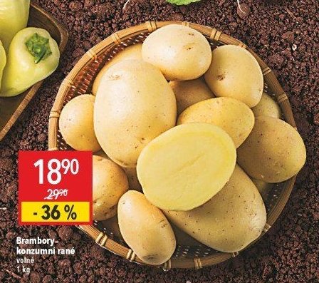 Brambory konzumní rané