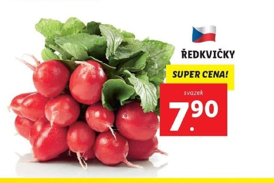 ŘEDKVIČKY