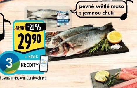Vlk mořský