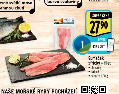 Sumeček africký - filet
