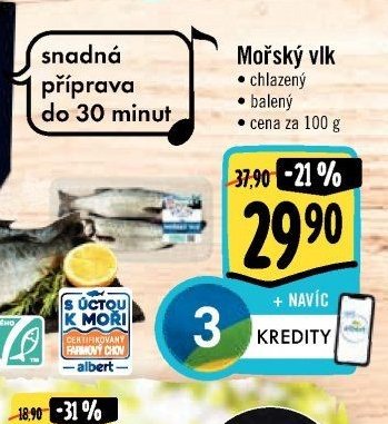 Mořský vlk