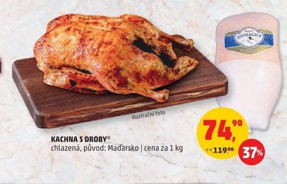 Kachna s droby
