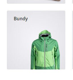 Bundy