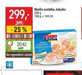 Mušle svatého Jakuba