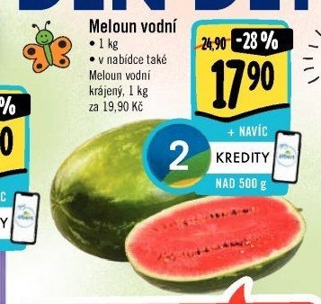 Meloun vodní
