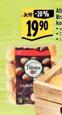 Albert Brambory konzumní pozdní