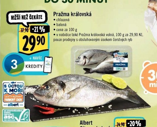 Pražma královská