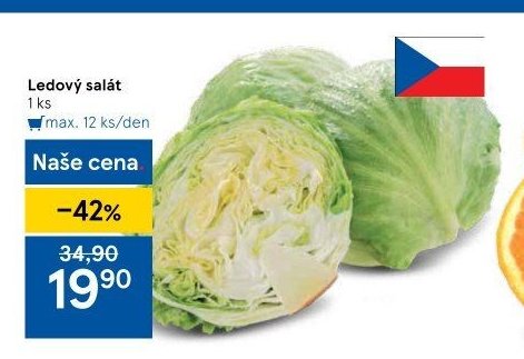 Ledový salát