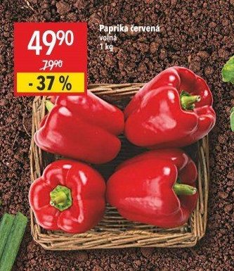 Paprika červená