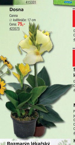 Dosna - UNI HOBBY akcniletaky.com