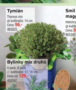 Tymián - UNI HOBBY akcniletaky.com