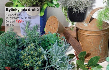 Bylinky mix druhů - UNI HOBBY akcniletaky.com