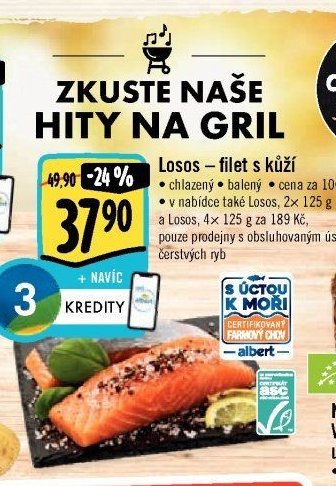 Losos - filet s kůží