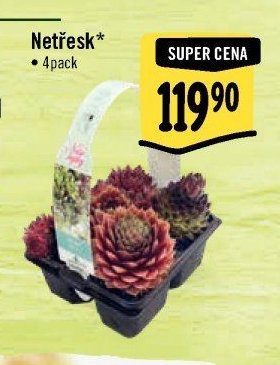 Netřesk*
