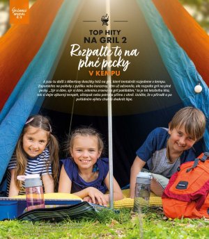 akční leták Albert 2.6.2021-29.6.2021