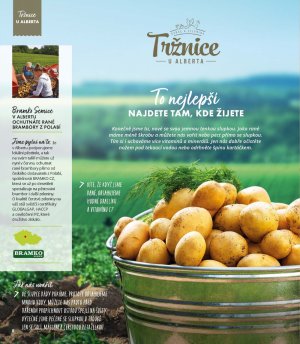 akční leták Albert 2.6.2021-29.6.2021