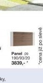 Panel .09
