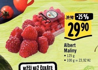 Albert Maliny