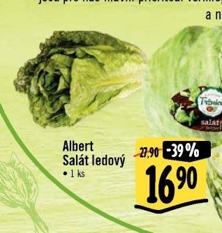 Albert Salát ledový