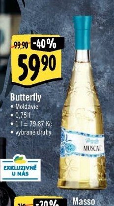Butterfly