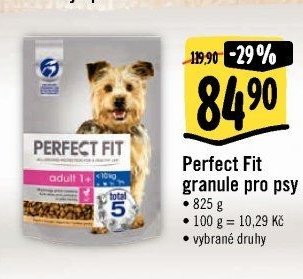 Perfect Fit granule pro psy