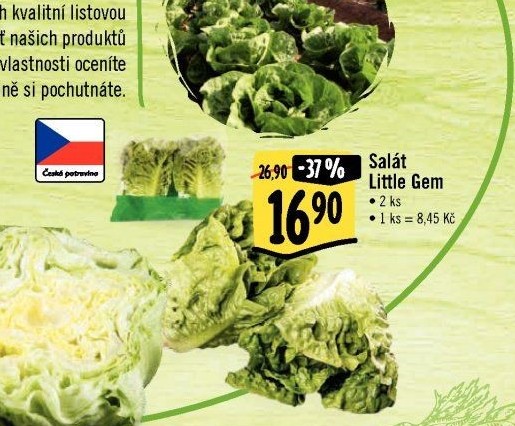 Salát little gem