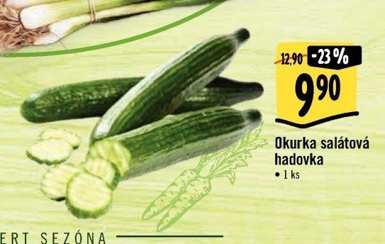 Okurka salátová hadovka