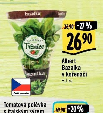 Albert Bazalka v kořenáči