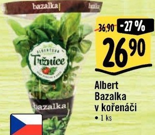 Bylinky v květináči Albert