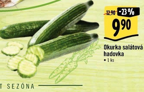 Okurka hadovka