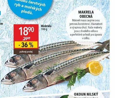 Makrela obecná